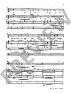 Ave Maria für mittlere Stimme und Orgel von Lehmann,Markus (Download) 