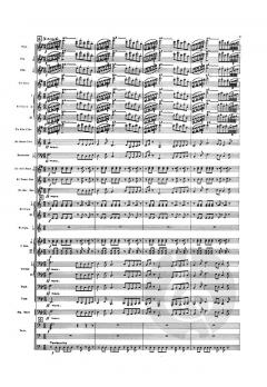 Serenade op. 22c von Derek Bourgeois 