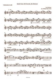 6 Songs By Carl Nielsen 