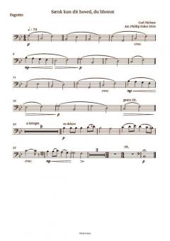 6 Songs By Carl Nielsen 