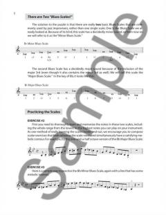 The Blues Scales Eb-Instruments von Dan Greenblatt 