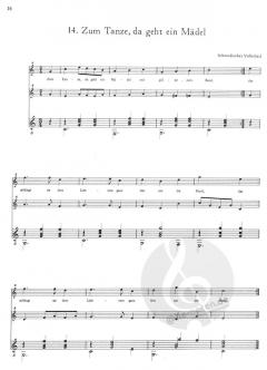 31 Bekannte Melodien 
