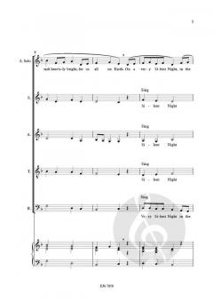 On a Very Silent Night  von Christa Steenhuyse-Vandevelde 