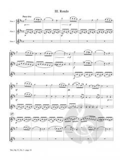 Trio No. 3 op. 51 von Antoine Benoit Tranquille Berbiguier 
