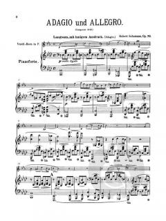 Adagio and Allegro op. 70 von Robert Schumann 