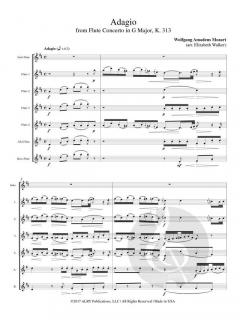 Adagio from Flute Concerto in G Major, K. 313 von Wolfgang Amadeus Mozart 
