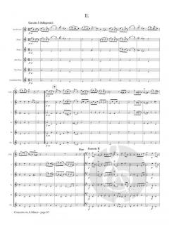 Concerto in A Minor von Michel Blavet 