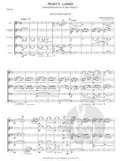 Largo from New World Symphony von Antonín Dvořák 