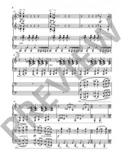 Sonata op. 80 von Fazil Say 