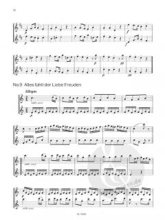 Die Zauberflöte von Wolfgang Amadeus Mozart für zwei Flöten (nach einer Ausgabe von 1792) im Alle Noten Shop kaufen