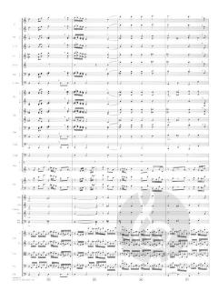 Hymn to the Fallen (Deluxe Score) von John Williams 