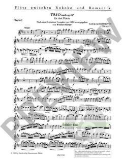 Trio nach op. 87 von Ludwig van Beethoven 