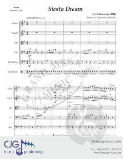 Siesta Dream von David Bobrowitz 