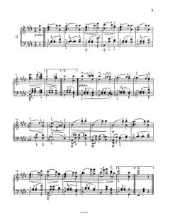 Walzer op. 39 von Johannes Brahms 
