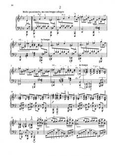 Zwei Rhapsodien op. 79 von Johannes Brahms 