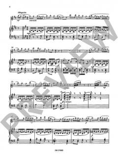 Die Zauberflöte von Wolfgang Amadeus Mozart im Alle Noten Shop kaufen - ZM27600
