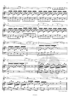 2 Sätze aus dem Karneval der Tiere von Camille Saint-Saëns 