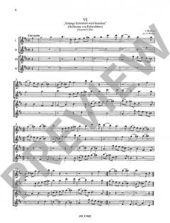 13 Kanons op. 113 von Johannes Brahms für 3-6 Flöten im Alle Noten Shop kaufen