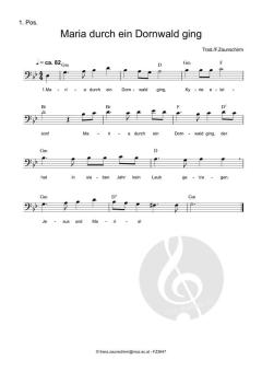 Maria durch ein Dornwald ging (Download) 