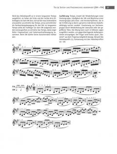 Systematische Violintechnik Band 5 von Helmut Zehetmair (Download) im Alle Noten Shop kaufen