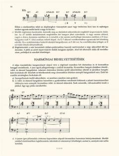Arögtönzésvilága 2 von Janos Gonda 