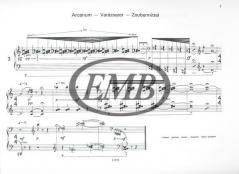 Micro-music 