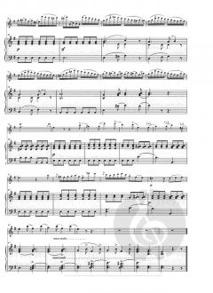 Concerto in Re maggiore von Saverio Mercadante 