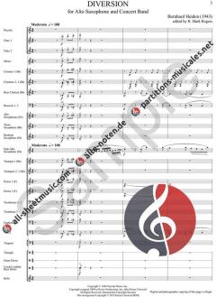 Diversion von R. Mark Rogers 