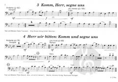 Das neue Lied 