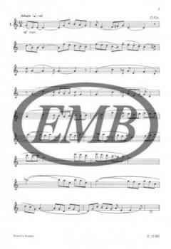 Etudes for Flute 