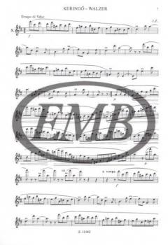 Etudes for Flute 