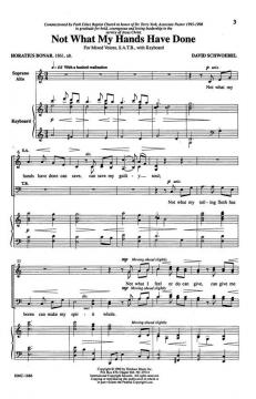 Not What My Hands Have Done von David Schwoebel 