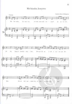 Vocal Tutor 2 