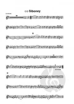 Beliebte Melodien 6 