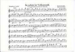 So schön ist Volksmusik 