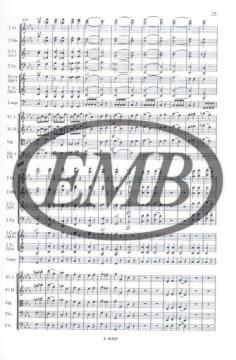 Symphony No. 5 in C minor von Ludwig van Beethoven 
