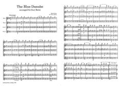 The Blue Danube von Johann Strauss (Vater) (Download) 