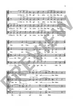 Storm-Lieder Band 2 von Felicitas Kukuck (Download) 