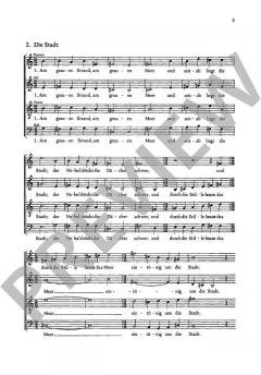 Storm-Lieder Band 2 von Felicitas Kukuck (Download) 