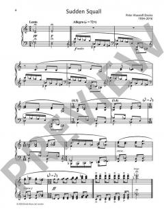 An Orkney Sketchbook von Peter Maxwell Davies 