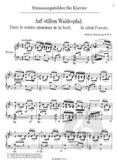 Stimmungsbilder für Klavier op.9 von Richard Strauss im Alle Noten Shop kaufen