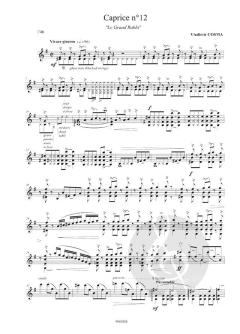 24 Caprices Mandoline Solo von Vladimir Cosma im Alle Noten Shop kaufen