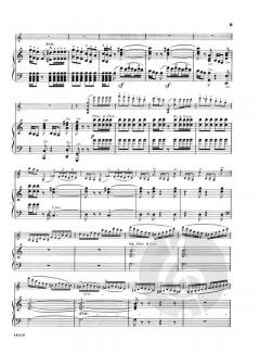 Introduction And Rondo Capriccioso Op. 28 Violin & Piano von Camille Saint-Saëns im Alle Noten Shop kaufen