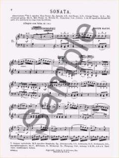 20 Sonatas For Piano Book 2 von Joseph Haydn 