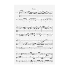 Triosonate g-moll von Johann Gottlieb Janitsch 