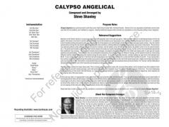 Calypso Angelical von Steve Shanley 