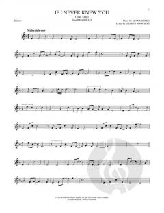 If I Never Knew You von Stephen Schwartz (Download) 