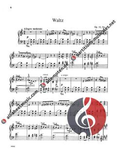 Lyric Pieces Op.12 Op.38 Piano von Edvard Grieg 