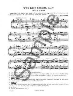 Sonata In G Minor Op.49 No.1 von Ludwig van Beethoven 