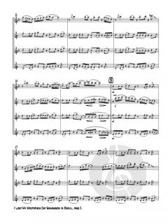 I Lost My Mouthpiece Cap Somewhere in Brazil von Sonny Burnette 